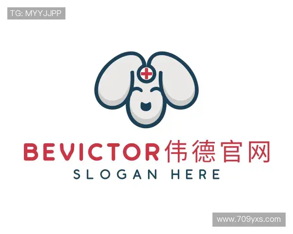 解读bv伟德国际官方网站